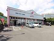 ジェーソン八王子宇津木台店 (1260m)