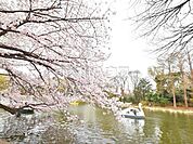 都立石神井公園 (750m)