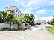 八王子市立高嶺小学校 (1610m)