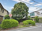 南田中さくら緑地 (310m)