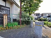 中仙川遊歩道 (340m)