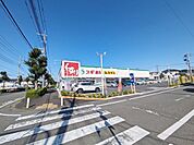 スギドラッグ 八王子片倉店 (1130m)