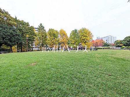 柳沢の池公園 (780m)