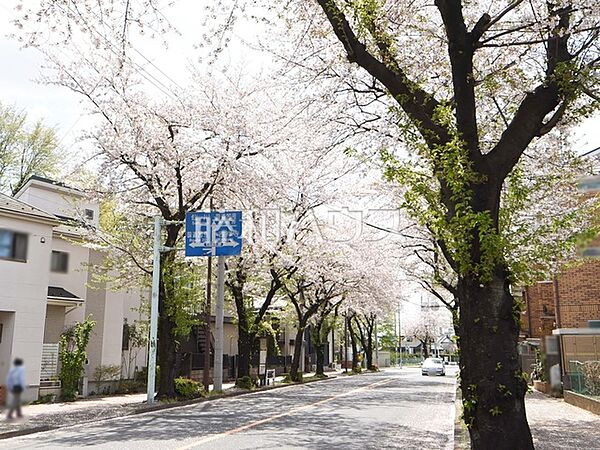 周辺を拡大表示