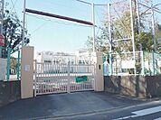 杉並区立松ノ木小学校 (500m)