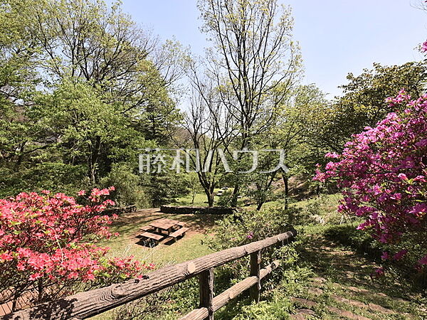 周辺を拡大表示