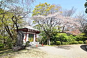 桜ヶ丘公園 (1870m)