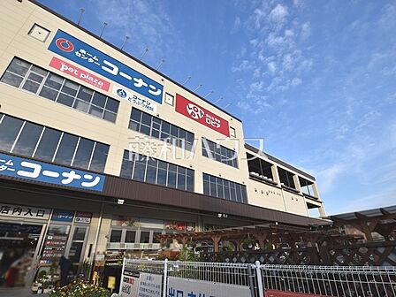 ロピア 田無店 (790m)
