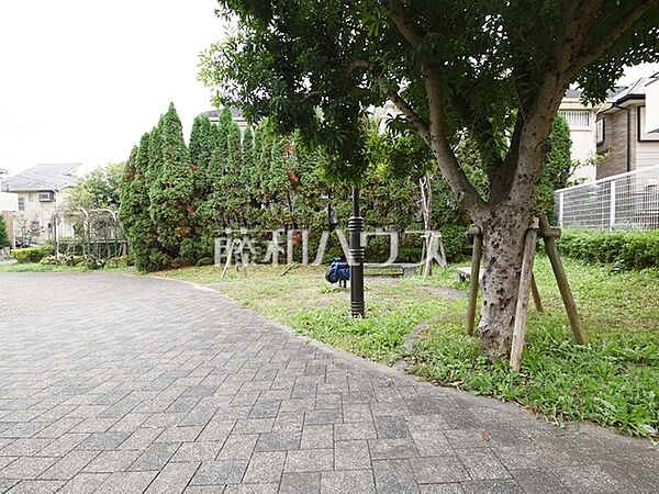 周辺を拡大表示