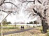 周辺：都立高井戸公園 (1360m)