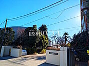 朝霞市立朝霞第三中学校 (900m)