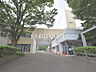 周辺：杉並区立杉並第十小学校 (510m)