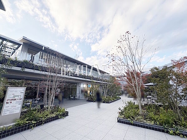 周辺を拡大表示