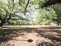 旭が丘中央公園...
