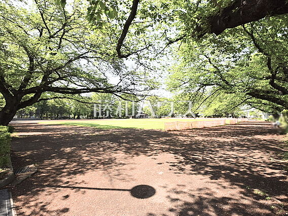 旭が丘中央公園...