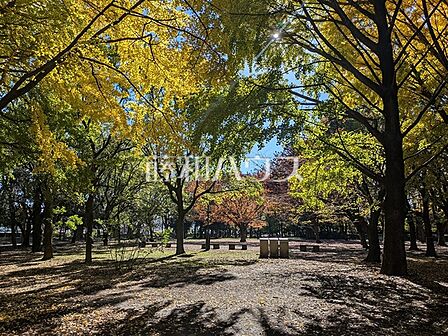 蘆花恒春園(芦花公園内) (670m)