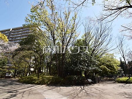 春の風公園 (250m)