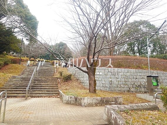 富士見台公園 ...