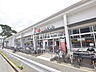 周辺：西友 ひばりが丘団地店 (320m)