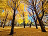 周辺：芦花公園 (1370m)