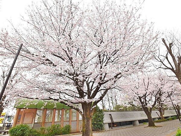 周辺を拡大表示