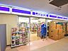 周辺：ローソン 慈恵医大第三病院店 (550m)