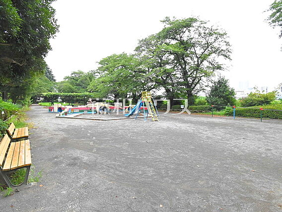 元横山公園 (...