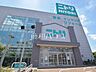 周辺：ニトリ田無店 (910m)