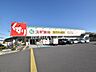 周辺：スギ薬局東村山秋津店 (510m)