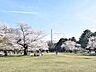 周辺：都立光が丘公園 (1560m)