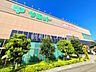 周辺：サミットストア 成城店 (890m)