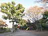 周辺：宮下橋公園 (910m)