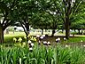 周辺：都立六仙公園 (400m)