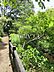 周辺：調布市野草園 (560m)