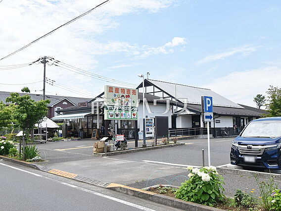 日野市立七ツ塚...