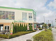 コープみらい コープ国分寺内藤店 (800m)