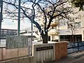 練馬区立練馬第...