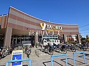 ヤオコー東大和店 (250m)