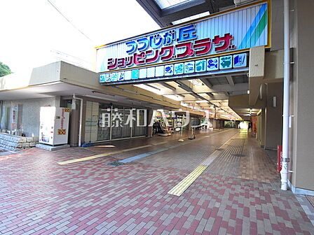 つつじが丘ショッピングプラザ (340m)
