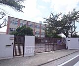 春日野小学校まで483m