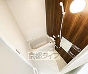 3点セパレート