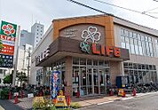ライフ大森中店（180m）