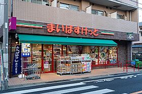 ナチュレインナガサワ 101 ｜ 東京都大田区西嶺町22-8（賃貸アパート1K・1階・21.00㎡） その17