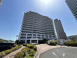 パシフィックビスタIV・80381