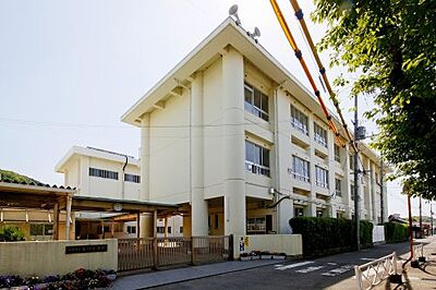 周辺：【小学校】亀川小学校まで173ｍ