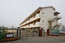 紀の川市桃山町最上・土地・120050