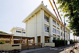 海南市且来・土地・126716