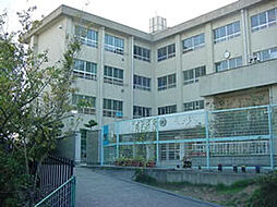 和歌山市西庄・貸土地・126974