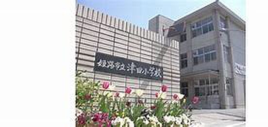 画像5:姫路市立津田小学校