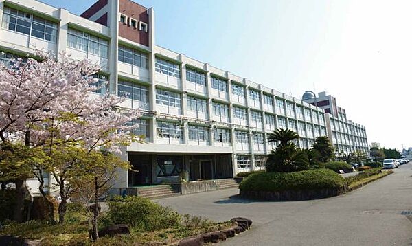 画像16:兵庫県立姫路南高等学校